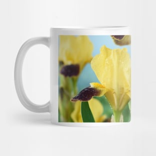 Bearded iris Mug